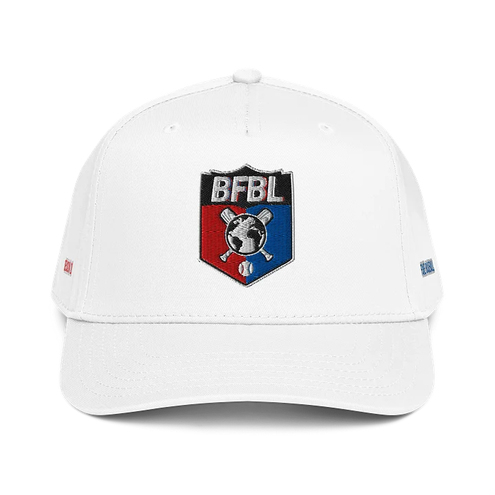 Fake Baseball Season 21 Commemorative Cap product image (1)