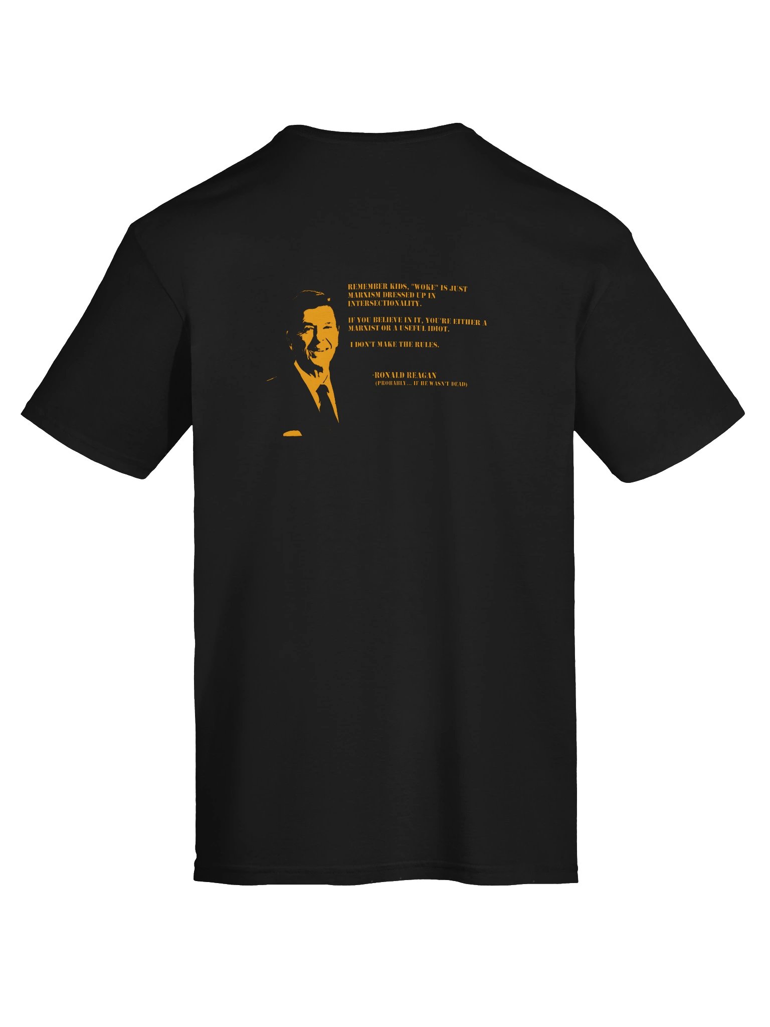 Reagan Explains it product image (7)