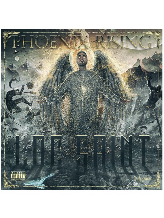 Phoenix Rising Physical CD product image (1)