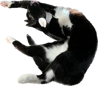 EurydiceDancer