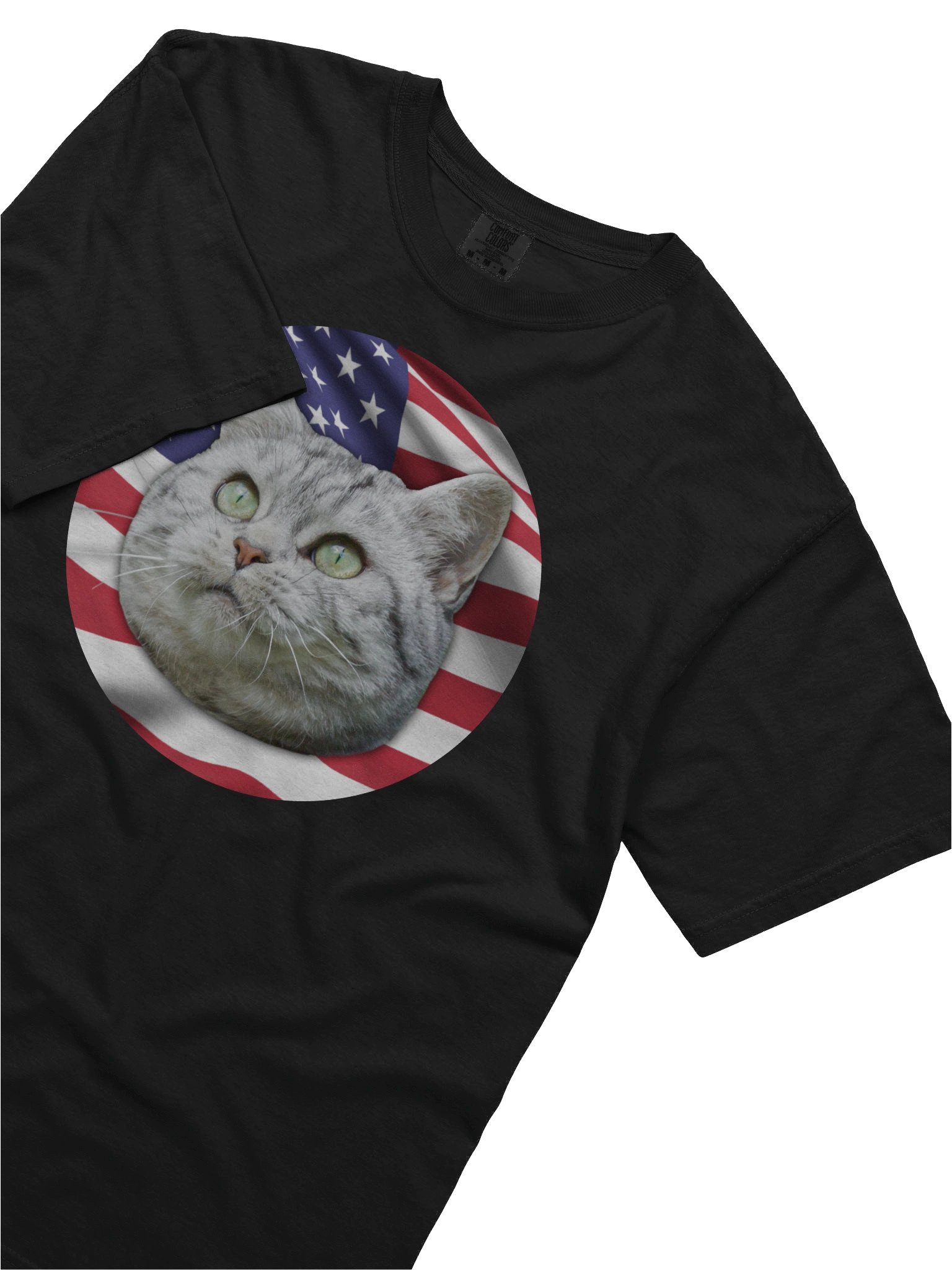 PATRIOTIC CAT LOGO (Heavyweight shirt) product image (5)