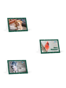 Christmas card bundle