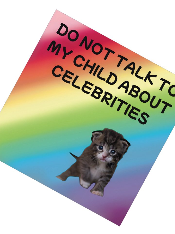 Do Not Talk to My Child About Celebrities Cat Sticker product image (4)