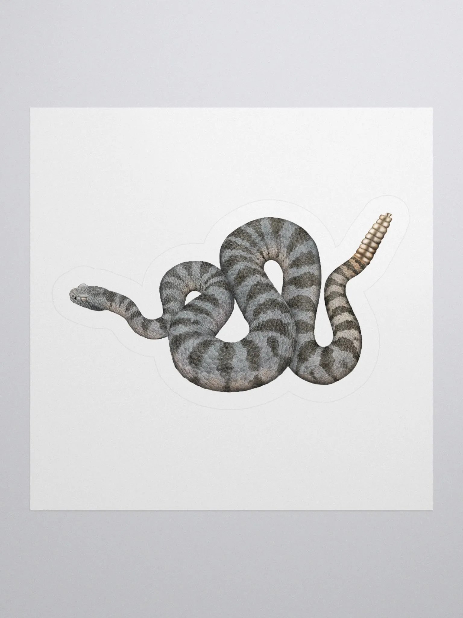 Die-Cut Sticker – Tiger Rattlesnake product image (1)