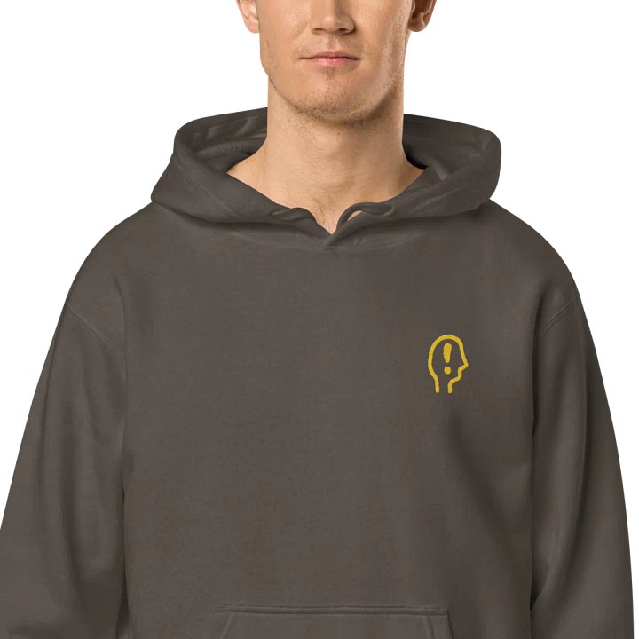 EXCLAIMING MENTALLY (gold) embroidered pigment hoodie product image (2)