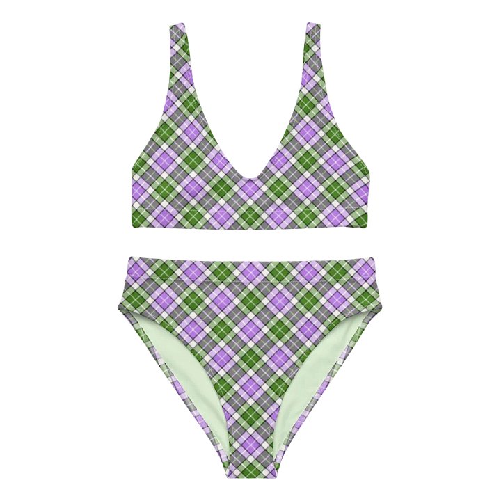 Lavender and Green Plaid Bikini product image (2)