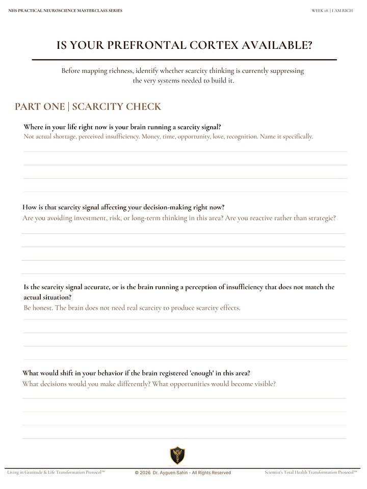 THE RICHNESS AUDIT product image (2)
