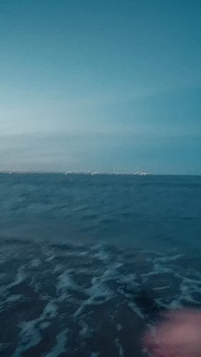 Spent this night throwing the @tates_baits_ glide bait and got into a really fun bite with striped bass feeding after dark. B...