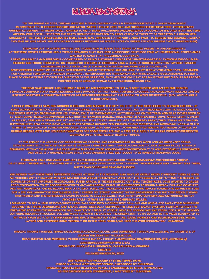 ZINDAGI! - “STBC! 3: SHIFA” Companion Digital Zine: Art, Lyrics, & Photos product image (2)