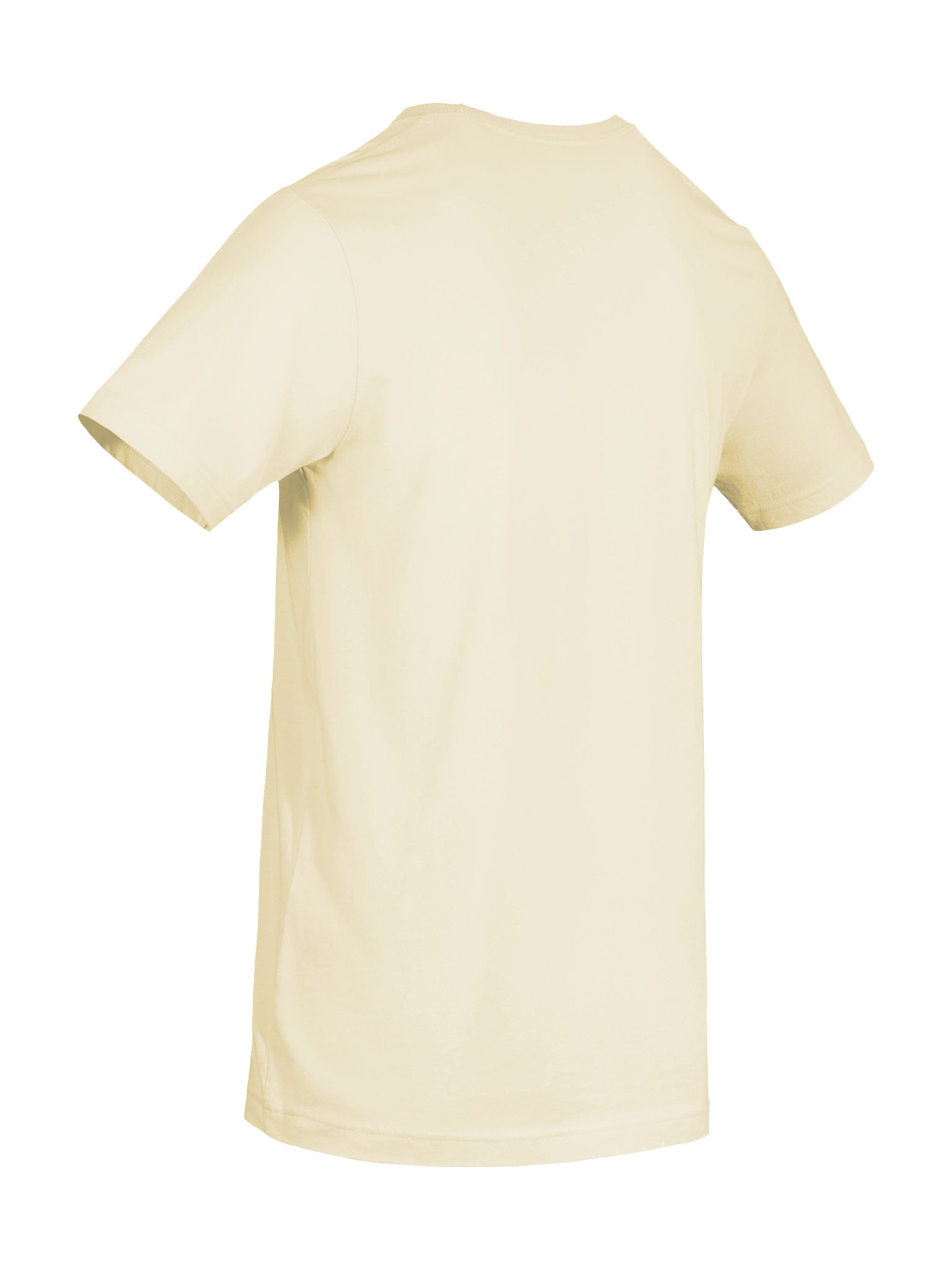 Nice and Normal Party 2026 Supersoft Premium T-Shirt product image (78)