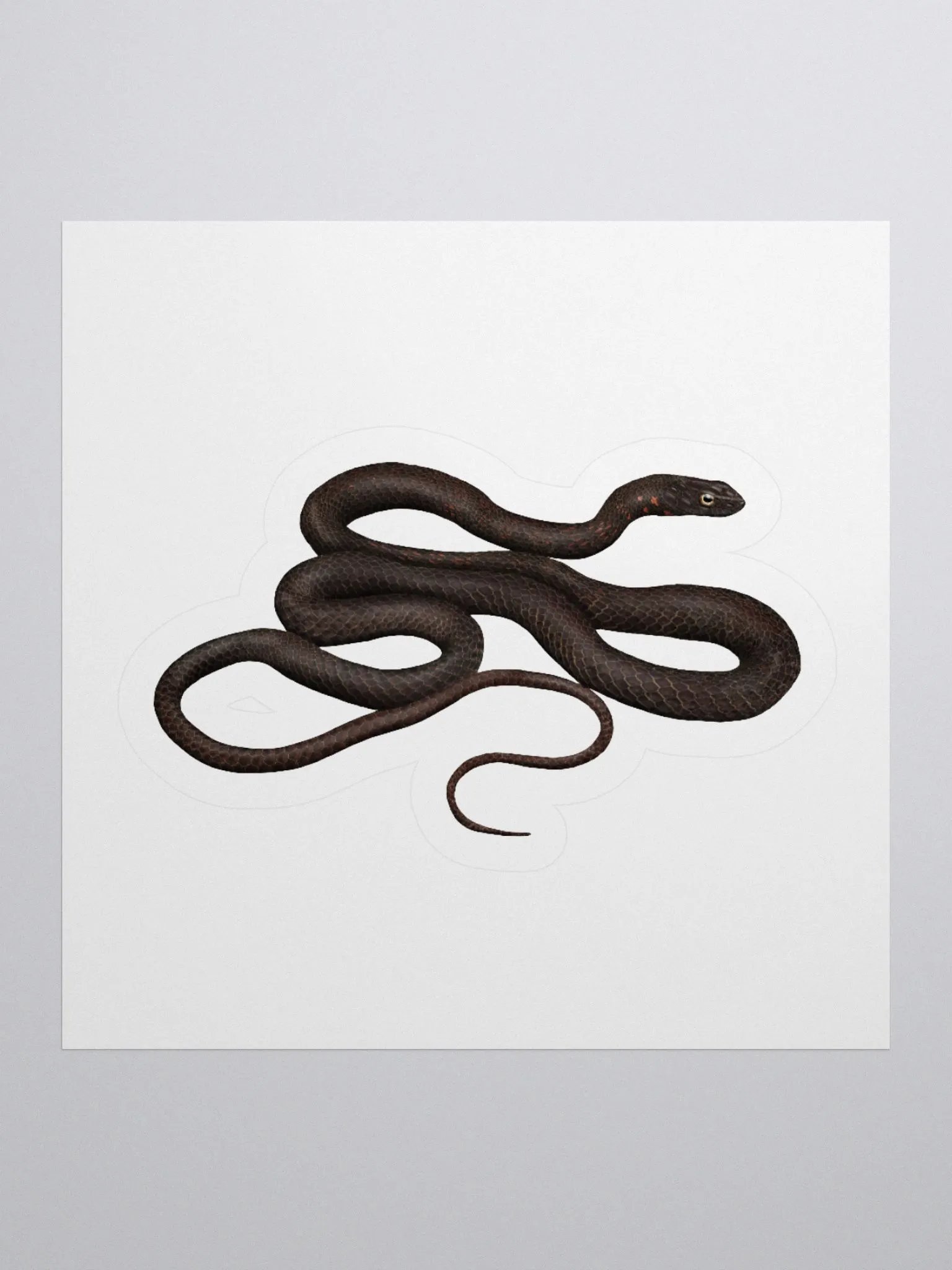Die-Cut Sticker – Black Coachwhip product image (1)