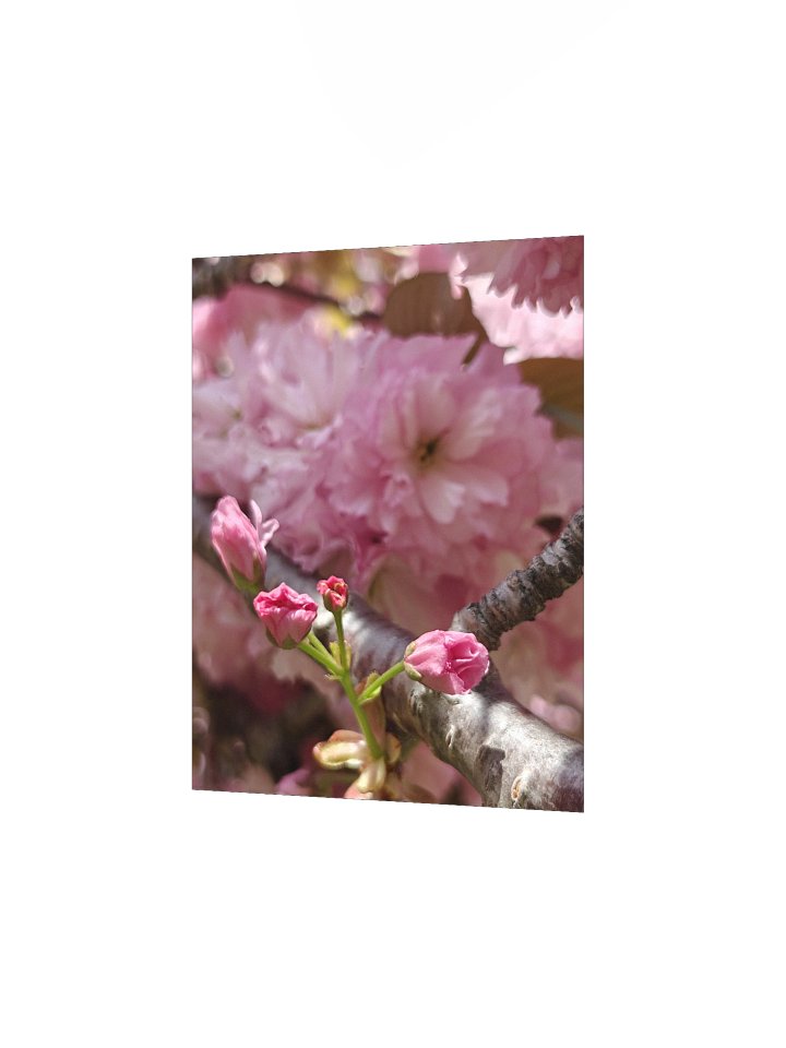 soft return - art print product image (2)