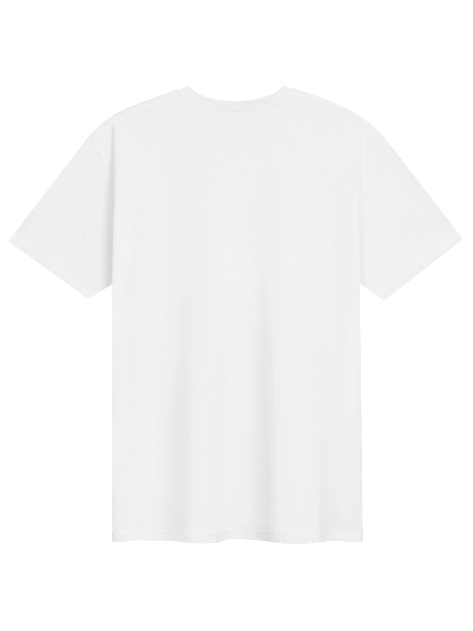 Not All Canadians Are Nice Goose Tee product image (10)