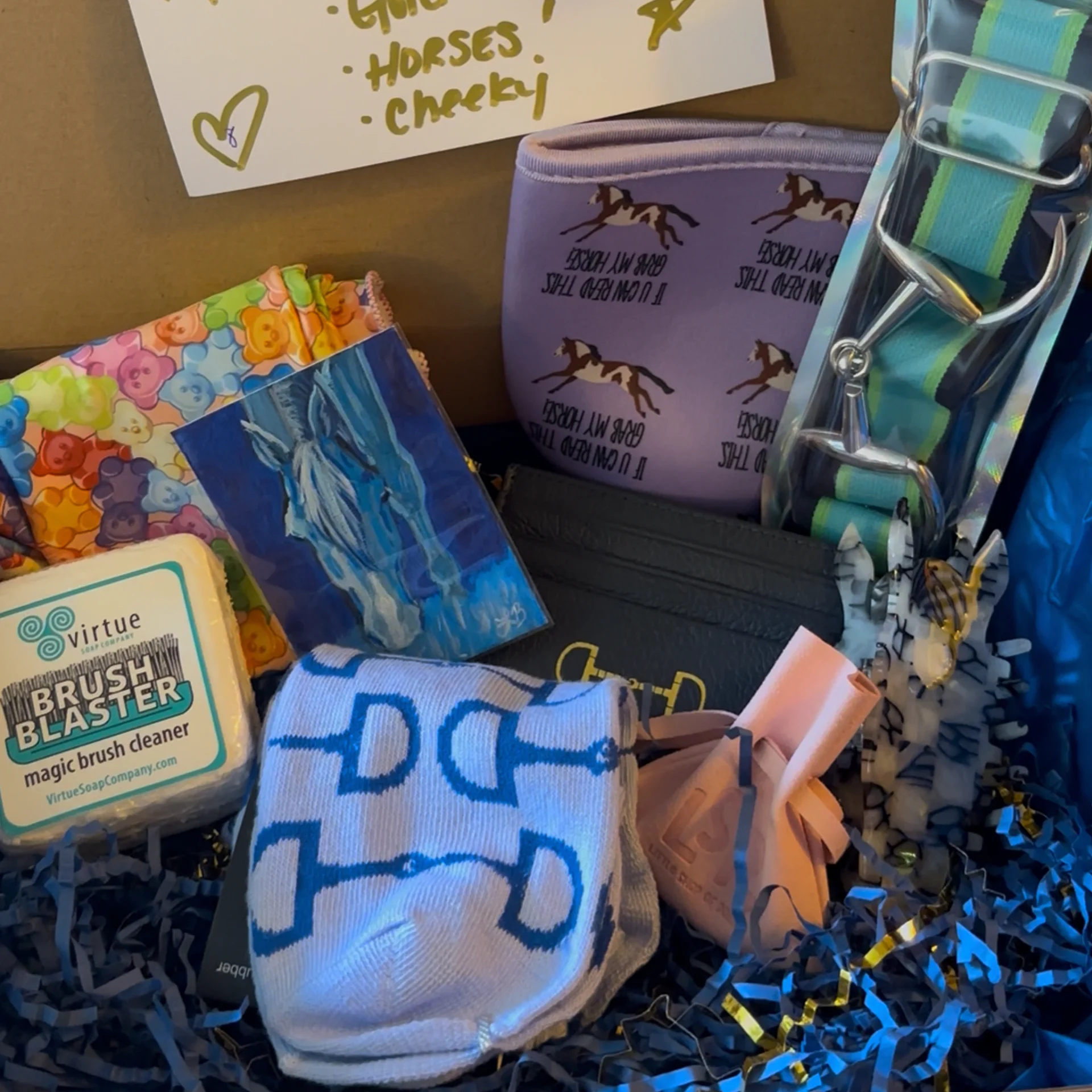 The Spoiled Equestrian Scoops 8 Mystery Pulls product image (4)
