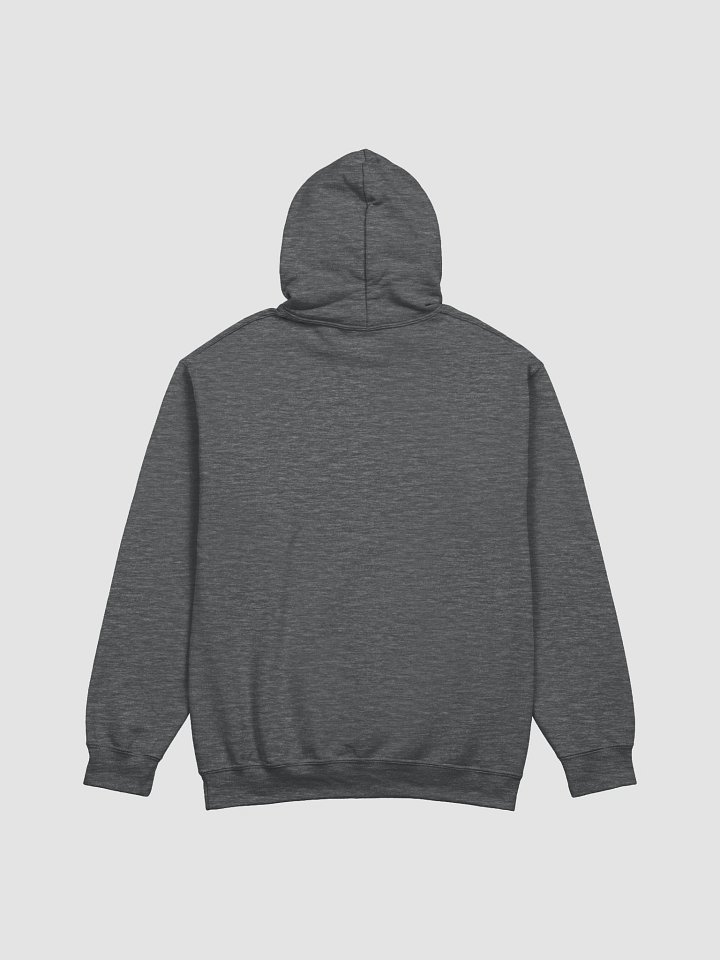 Evolved Galaxy Hoodie - Black Lettering product image (17)