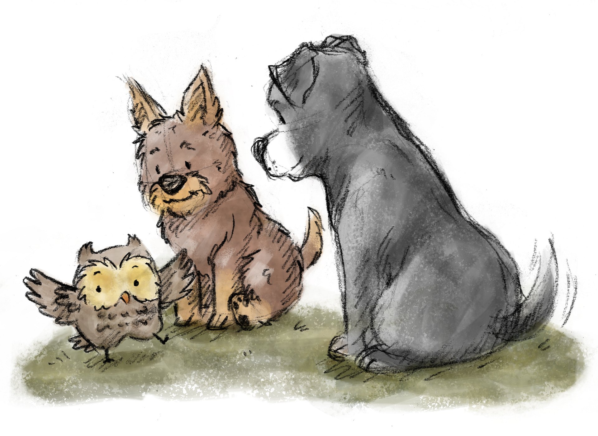 Bobby & Morph by R. E. Fisher - Exclusive edition product image (7)