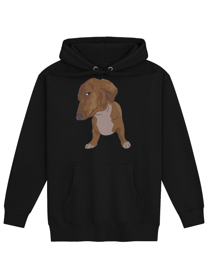 Side-Eye Doxie hoodie product image (1)