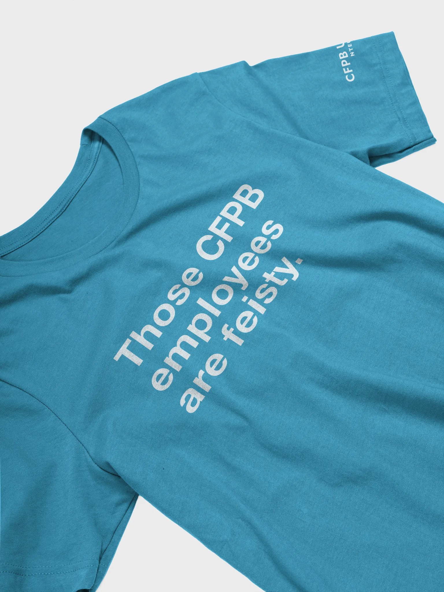 Those CFPB Employees Are Feisty T-shirt (White) product image (3)