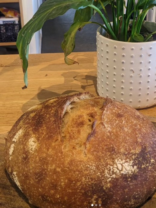 Sourdough Starter Feeding Guide product image (1)