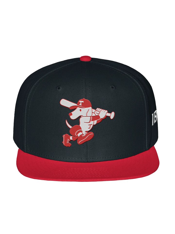 Galt Terriers Legacy Cap product image (1)