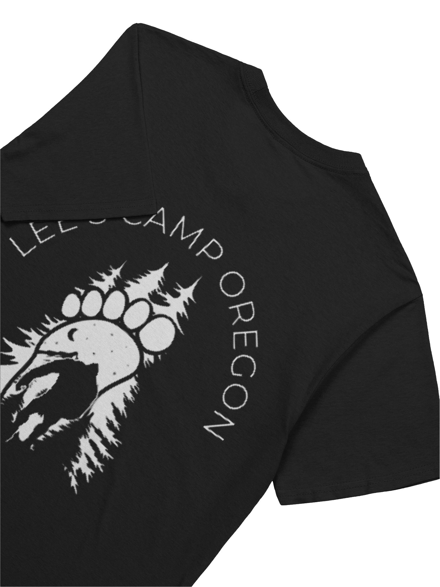 Logo T-Shirt product image (37)