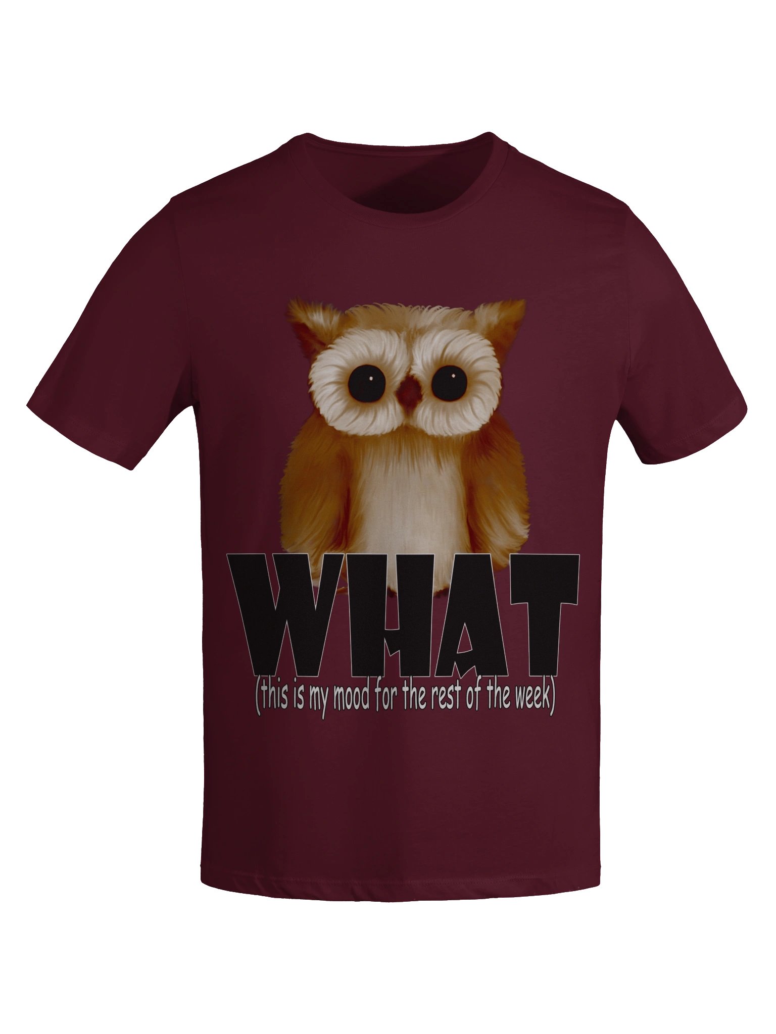 Owl "WHAT" T-Shirt. Women's Bella+Canvas Supersoft Relaxed-fit T-Shirt product image (4)