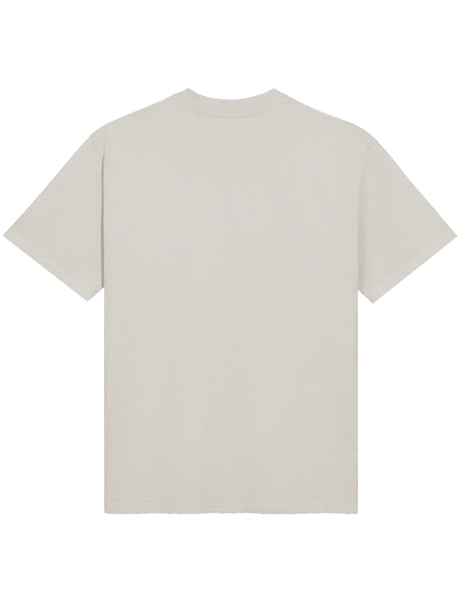BVI Tee product image (2)