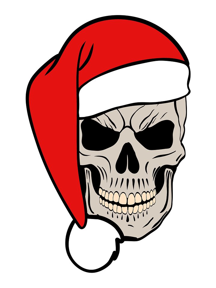 Skull And Santa Hat PNG Digital Product product image (1)