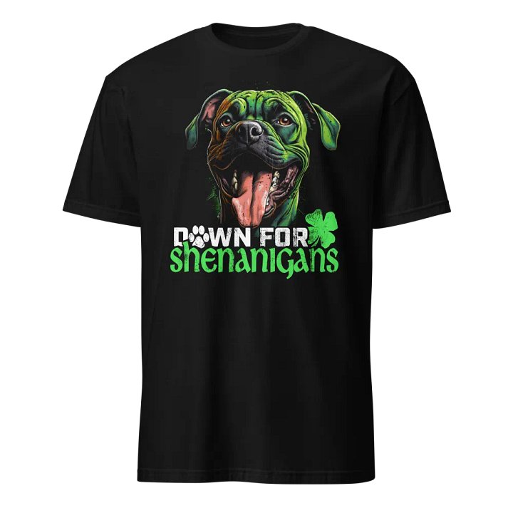 Down for Shenanigans: Boxer product image (1)