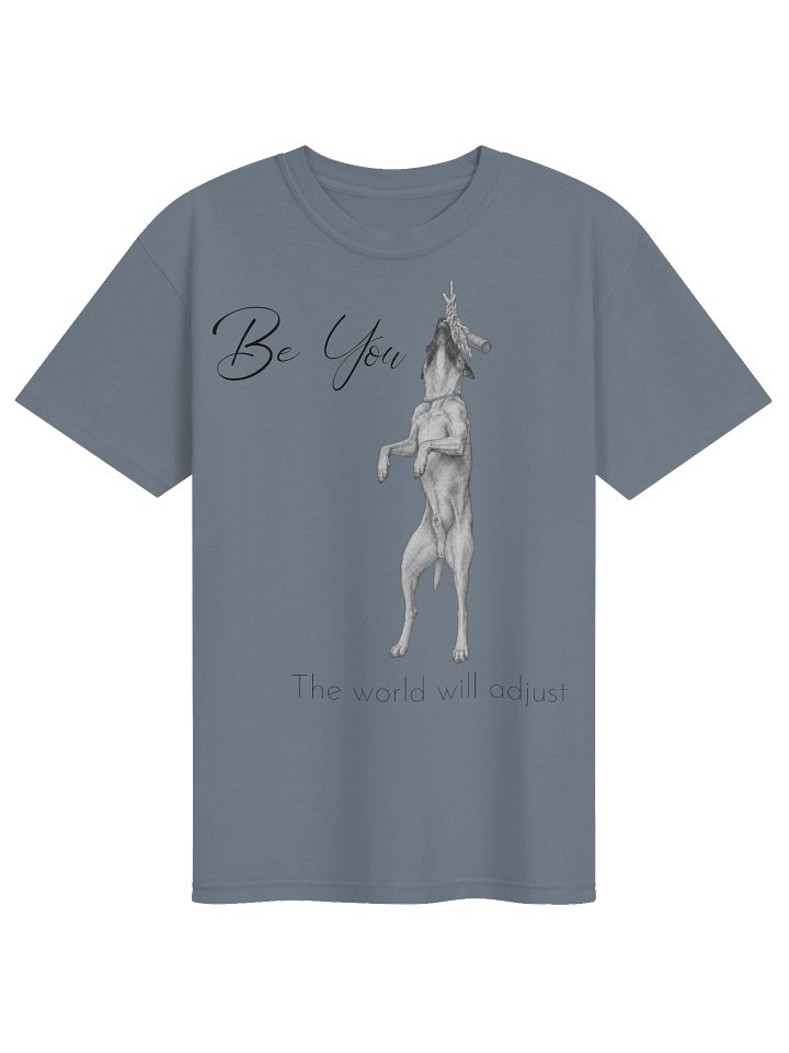 Be You The World Will Adjust product image (2)