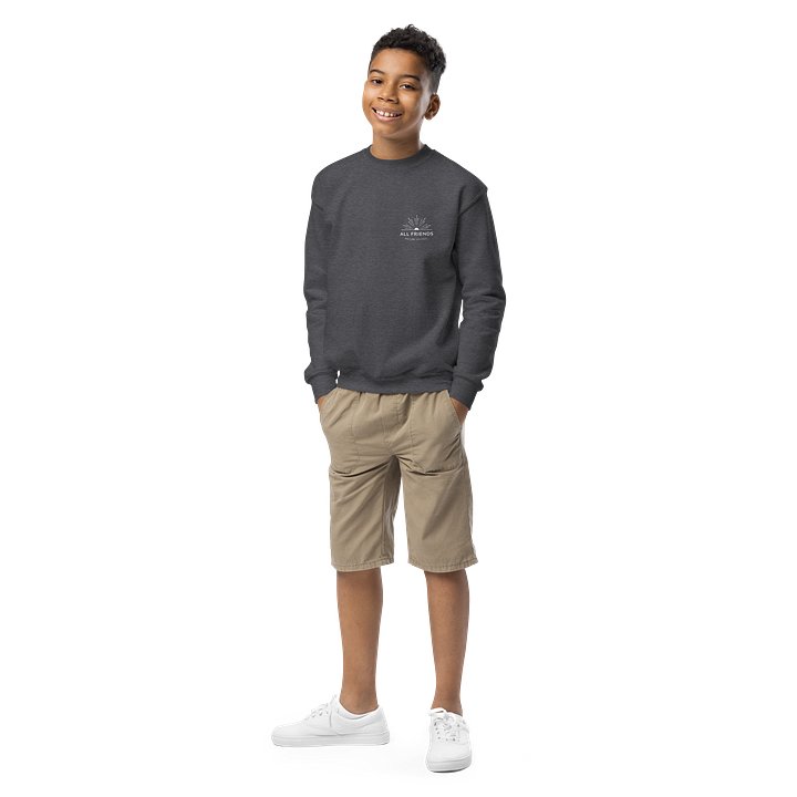 Youth Sweatshirt product image (4)