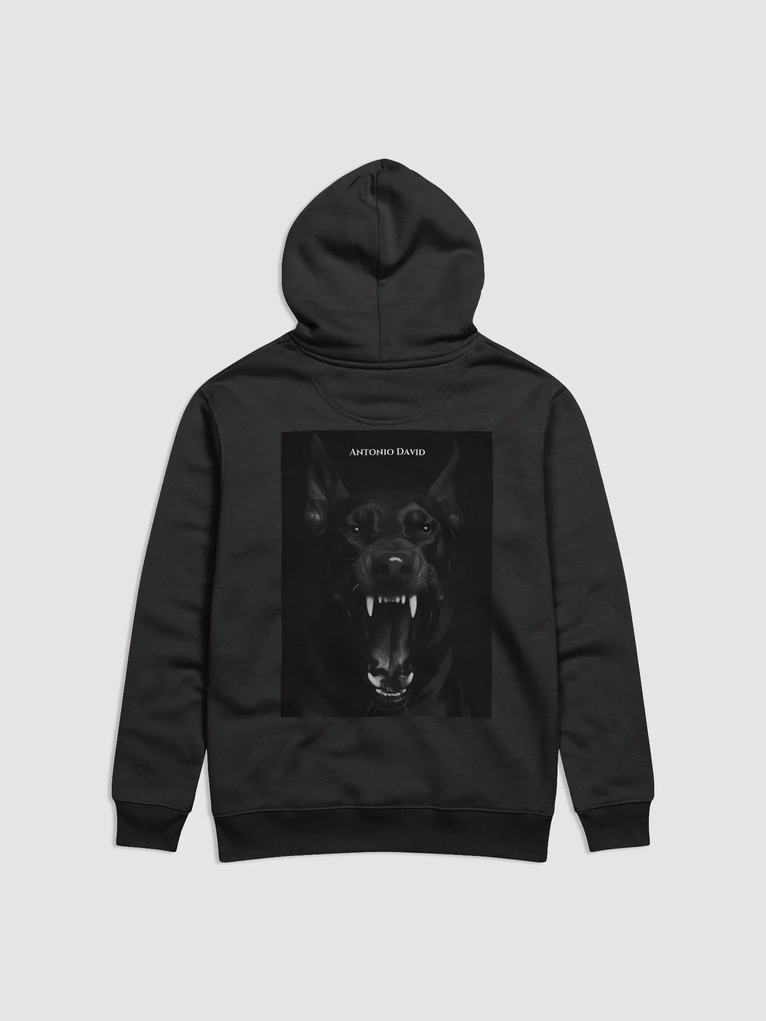 Besat Hoodie product image (2)