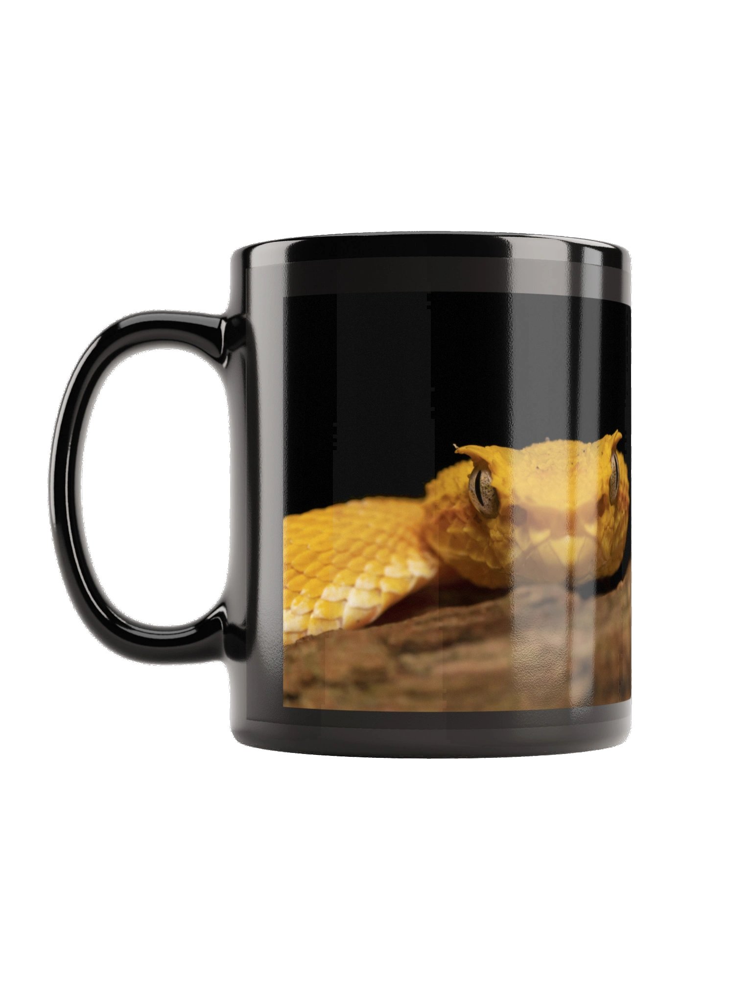 Eyelash Pitviper Mug | The Photo That Inspired Our Logo product image (1)