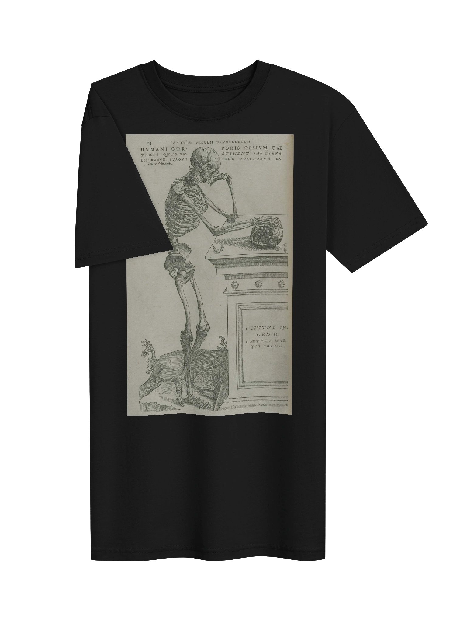 "Skeleton Pondering Mortality" by Andreas Vesalius. product image (3)