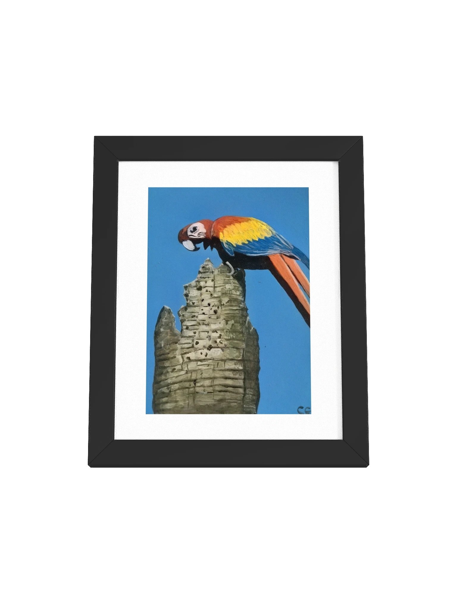 Scarlet Spirit of Playa Blanca Framed Poster product image (1)