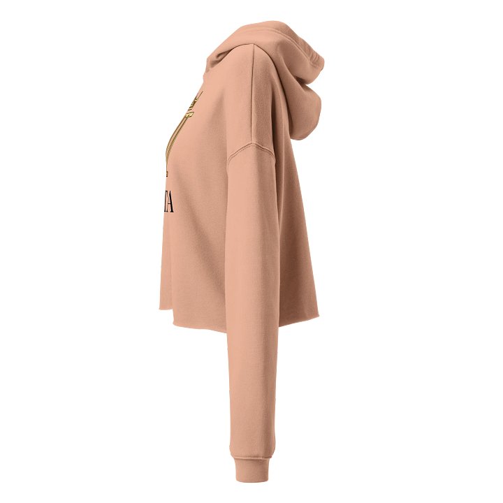 VETA Cropped Hoodie - Peach product image (2)