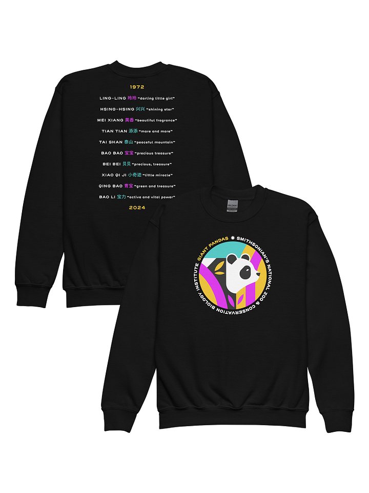 Panda Sweatshirt (Youth) product image (1) Image 1