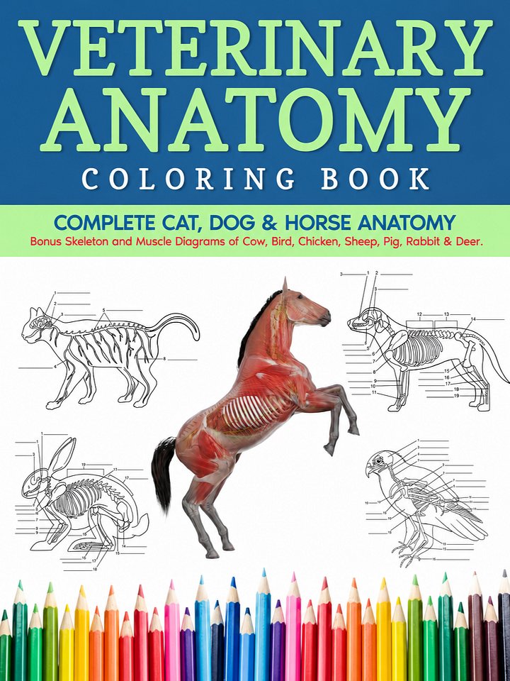 Veterinary Anatomy Coloring Books product image (2)