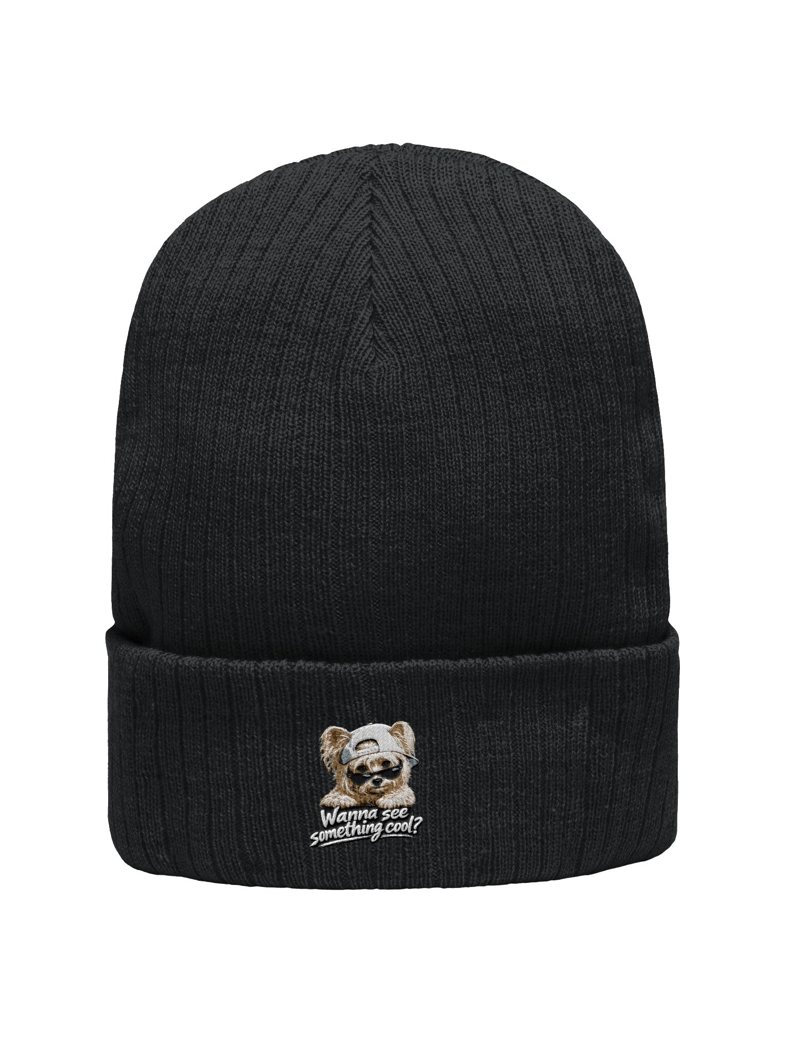 Cool beanie product image (1)