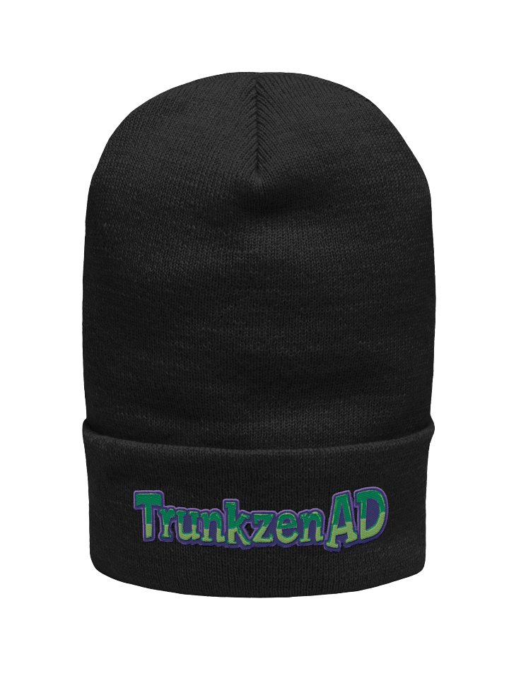 TZAD Big name Beanie product image (4)