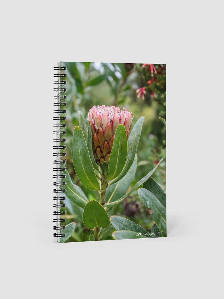 📓 Notebook Collection PURE – Jardin du Rayol – Protea product image (1)