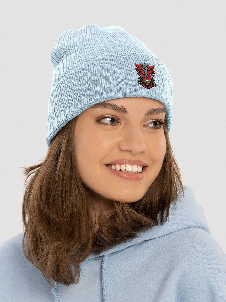 Dragonsoft Beanie product image (11)