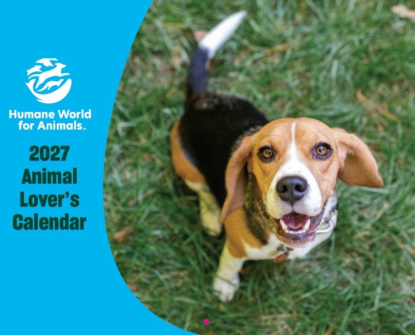 2027 Animal Lover's Wall Calendar product image (1)