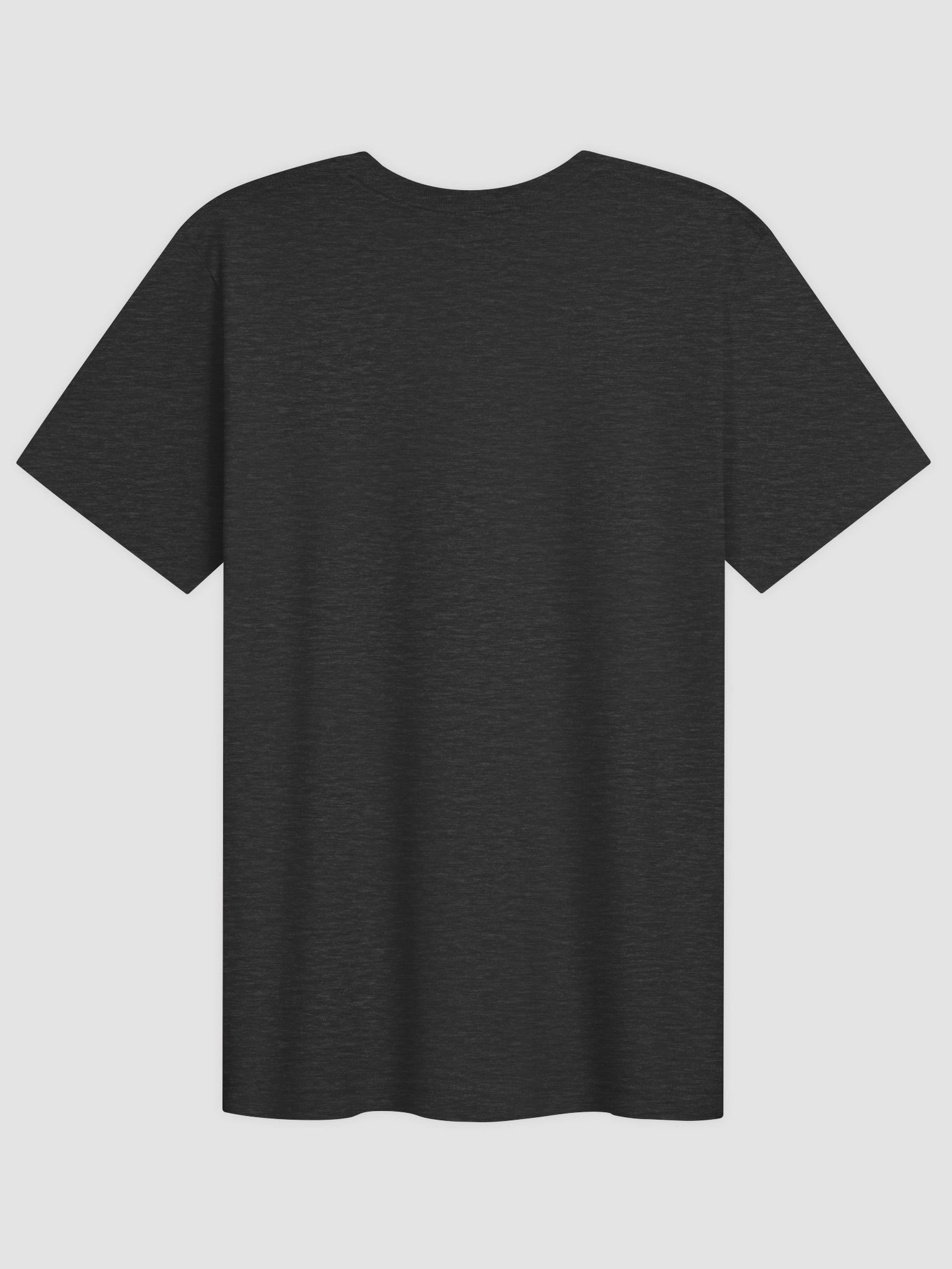 Logo T-Shirt product image (2)