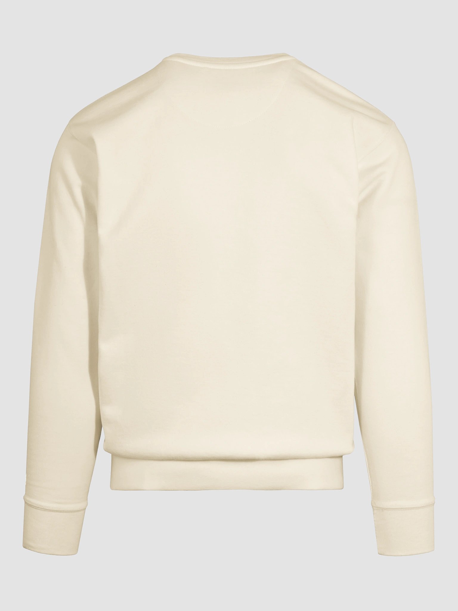 Flood Logo Sweatshirt (premium cotton) product image (24)