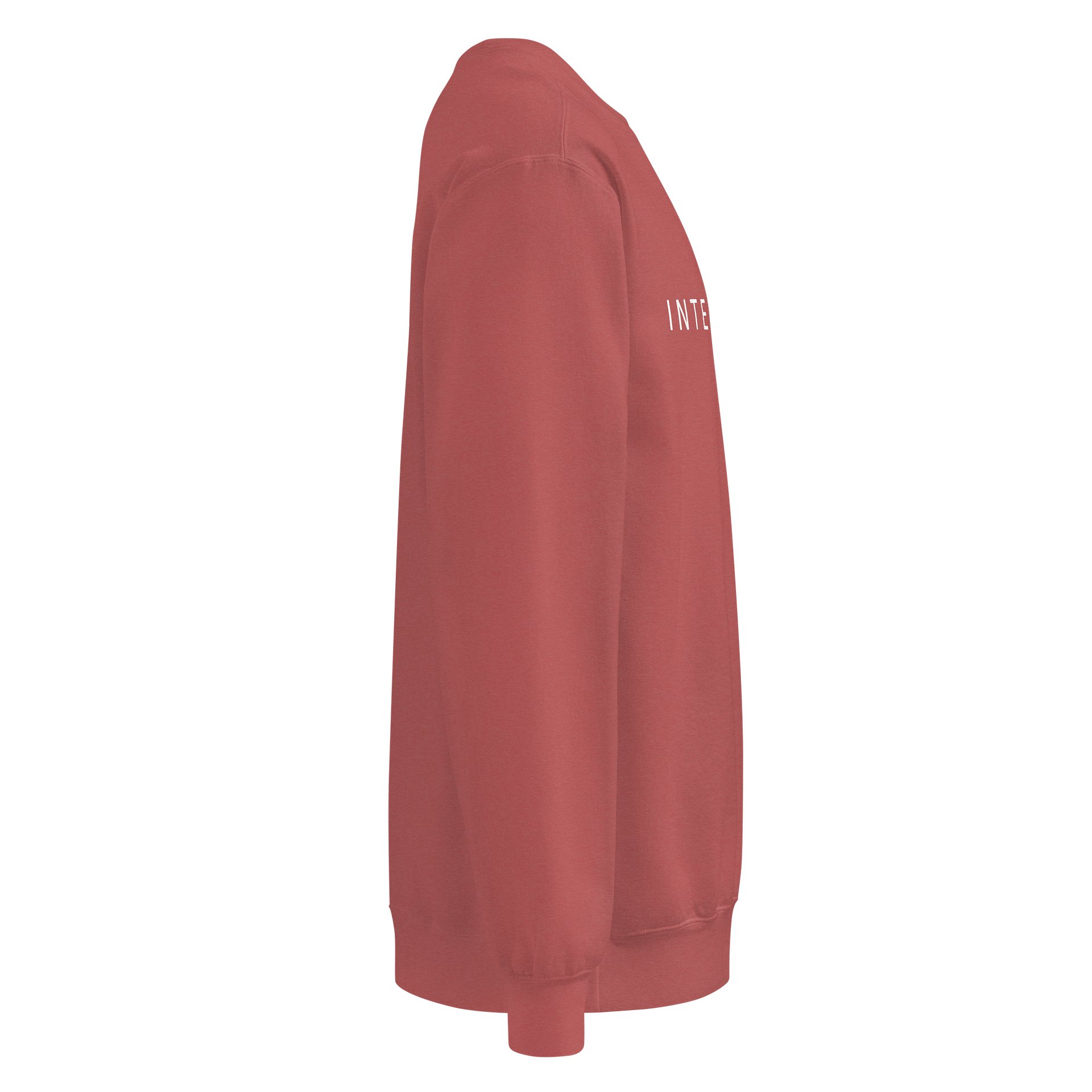 Internal Med Comfort Colors Crewneck product image (12)