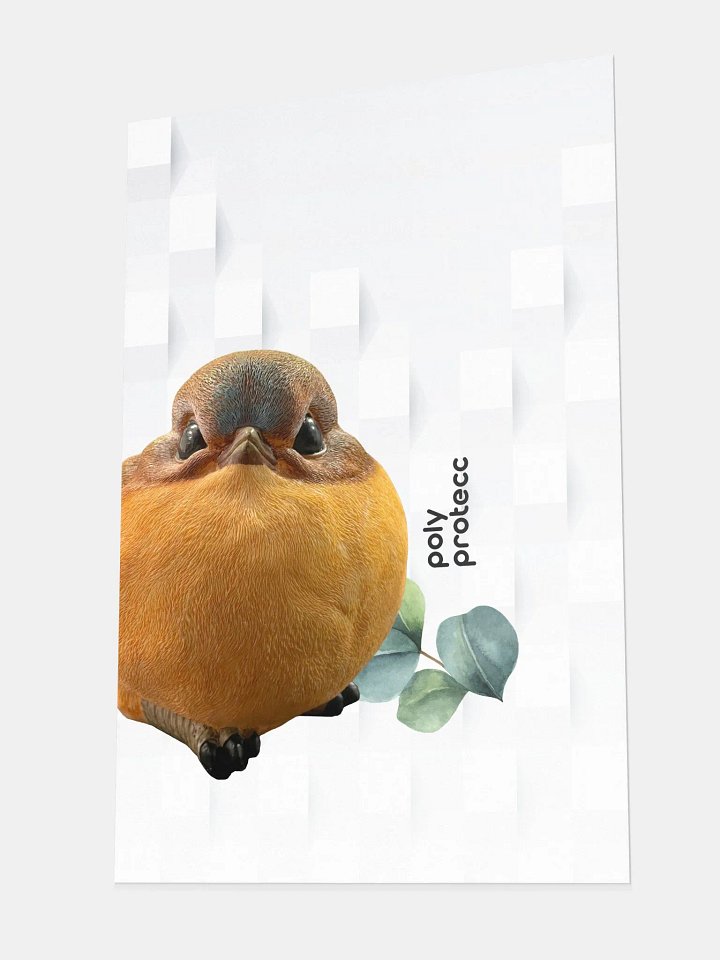 PolyProtecc Poster (white) product image (2)