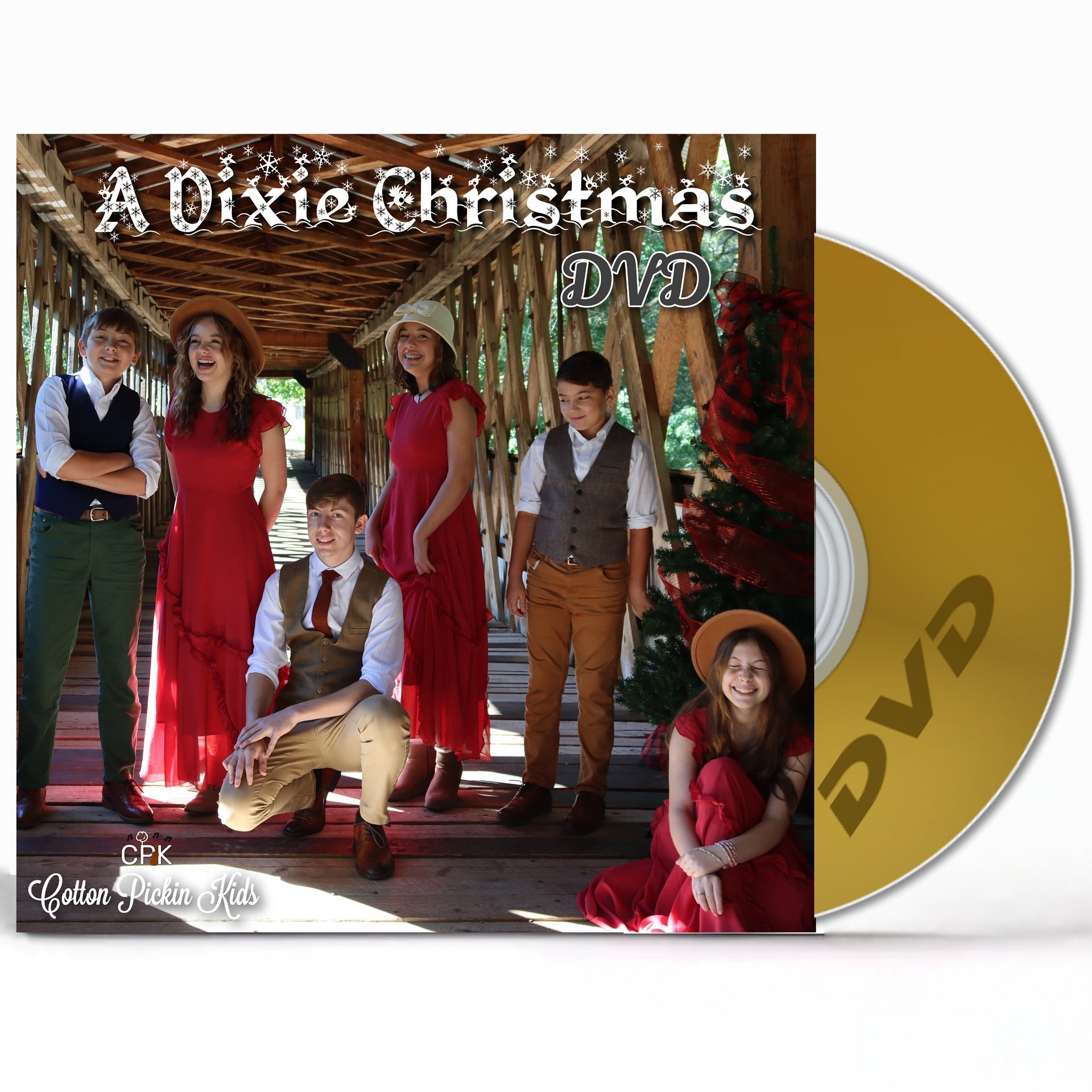 A Dixie Christmas DVD product image (1)
