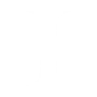 INVERSION