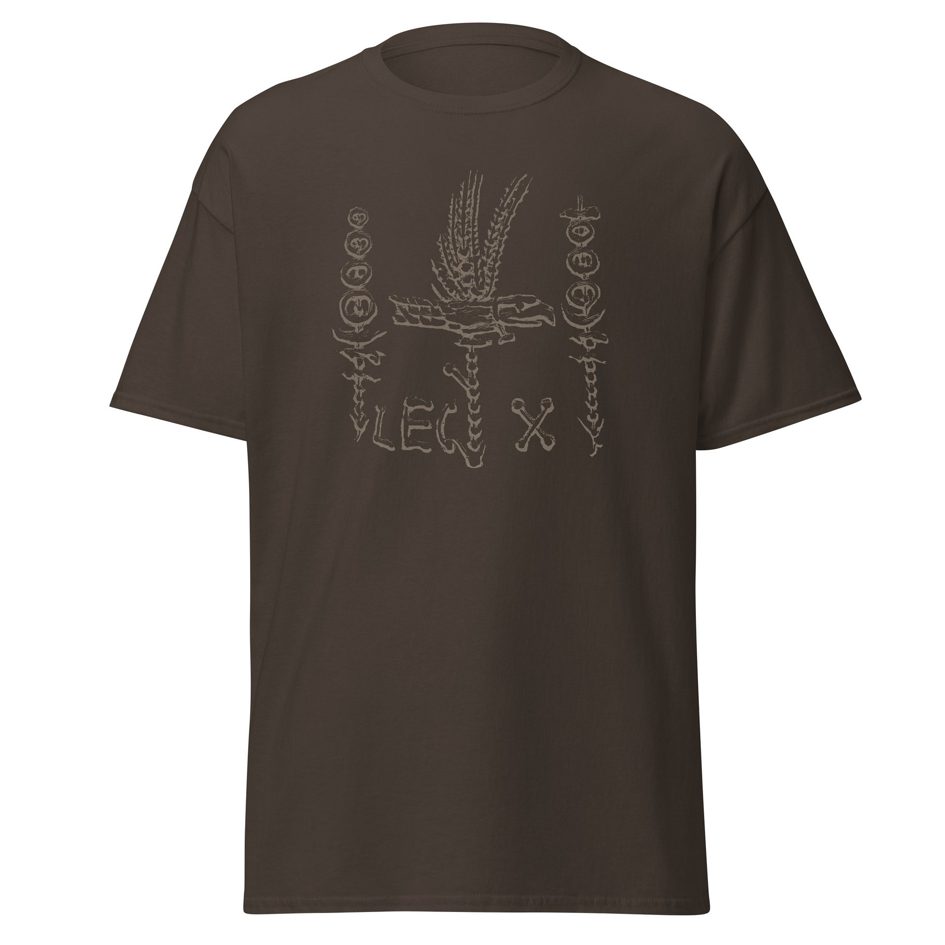 Legion X Legionary Standards Insignia Ancient Rome Art circa 31 BC, T-Shirt product image (10)